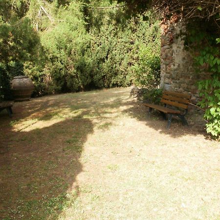 Agriturismo Il Palazzaccio Villa Galliano Ngoại thất bức ảnh