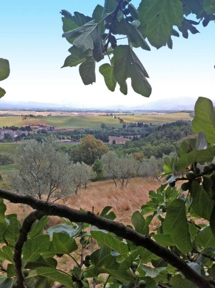 Agriturismo Il Palazzaccio Villa Galliano Ngoại thất bức ảnh