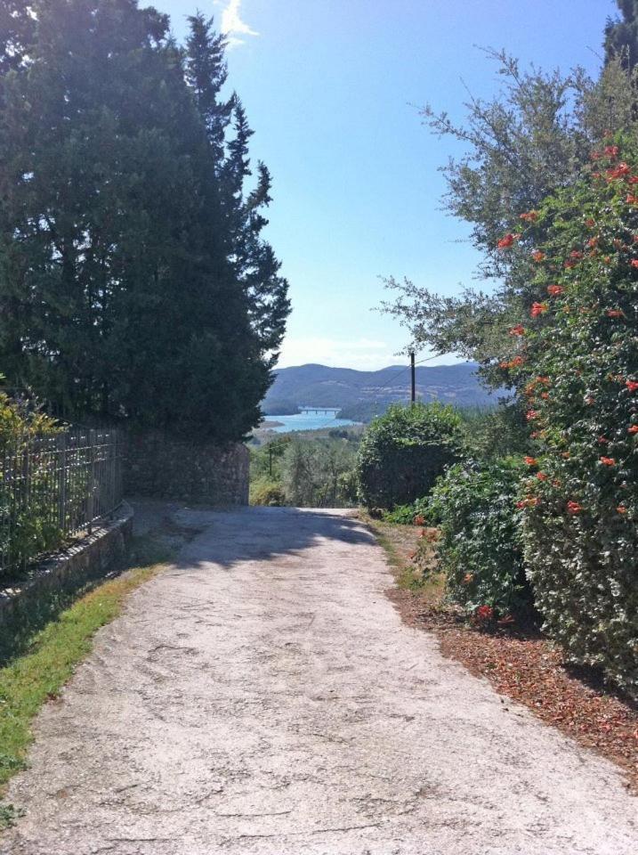 Agriturismo Il Palazzaccio Villa Galliano Ngoại thất bức ảnh