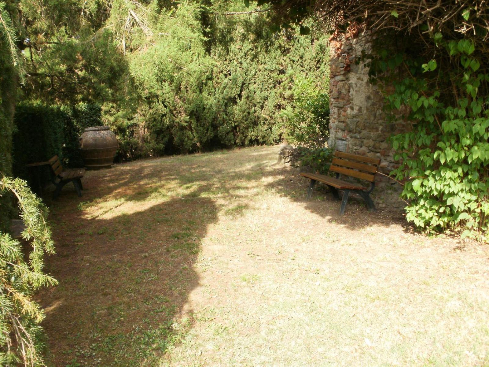 Agriturismo Il Palazzaccio Villa Galliano Ngoại thất bức ảnh